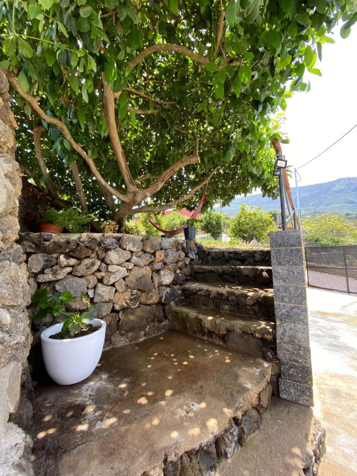 Realejo Alto Villa Perejil מראה חיצוני תמונה
